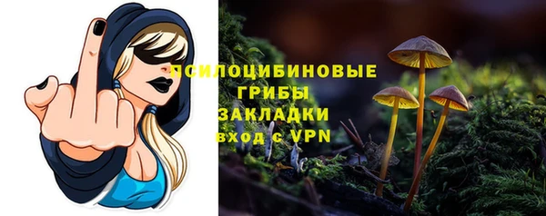 тгк Балахна